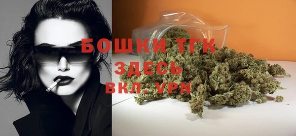 гашик Арсеньев