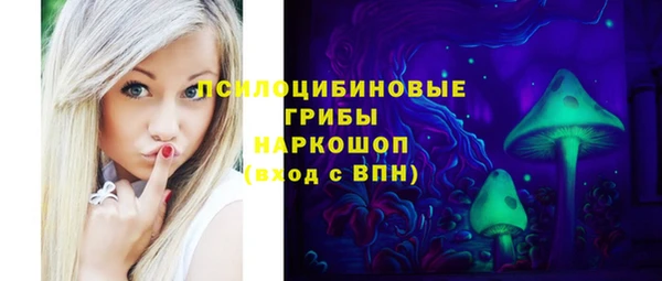 гашик Арсеньев